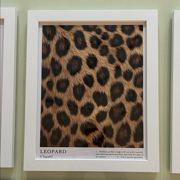 Leopard Print Art Set - 6 Pieces - Picture 4 of 10